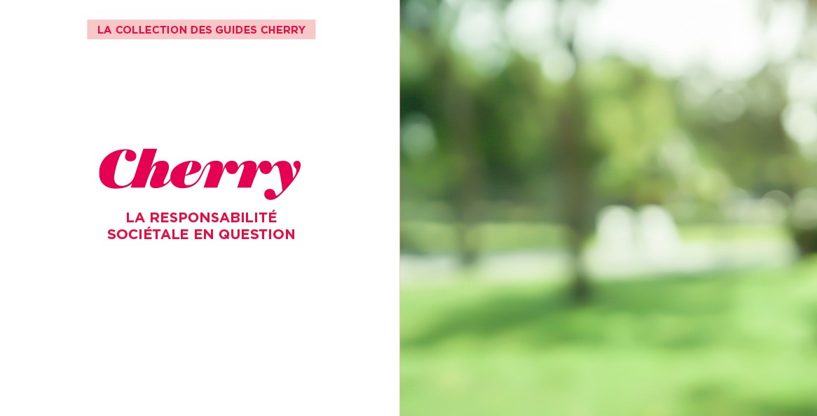 Couverture du guide Cherry n°09 : La responsabilité sociétale en question